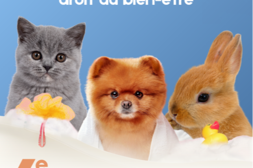 Salon du Bien-Être Animal 2026 à Menton : conférences, animations et rencontres le 17 octobre